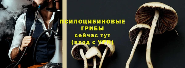 стафф Абинск