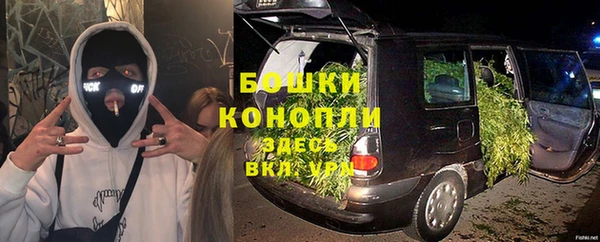 твердый Абаза