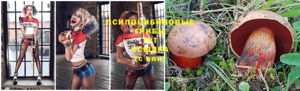 стафф Абинск