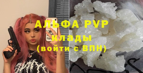 твердый Абаза