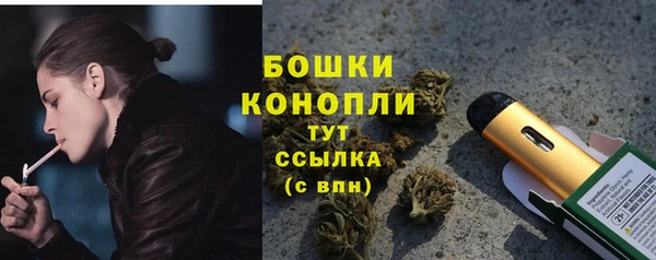 гидра Алзамай